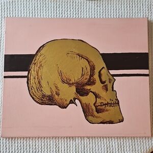 Gold Skull on Pink Canvas Art